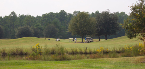 Black Creek Golf Course